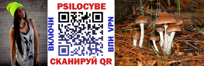 Купить  Спас-Клепики  Галлюциногенные грибы ЛСД 